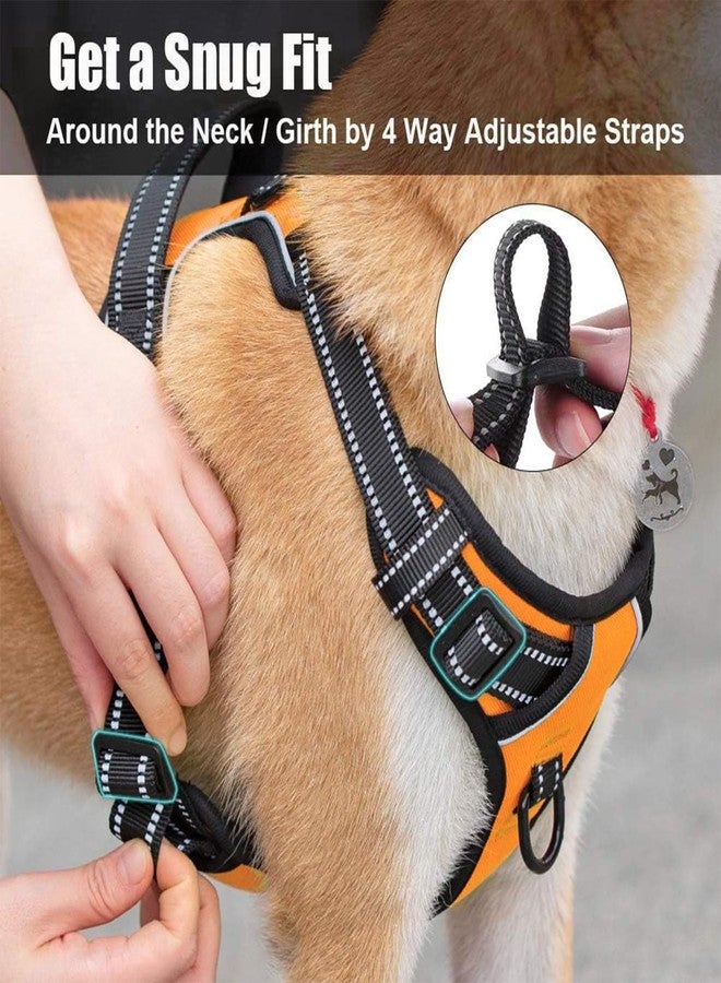 Lyrovo Adjustable No-Pull Dog Harness with Leash Set for Small, Medium & Large Dogs - Reflective, Breathable, Comfortable Vest Harness for Training & Walking (Orange, M (14-22Kg)) - Image 5
